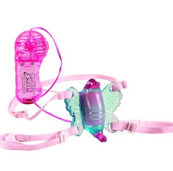 Shane's World Venus Butterfly