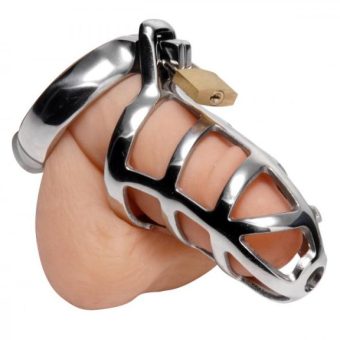 Detained Stainless Steel Chastity Cage
