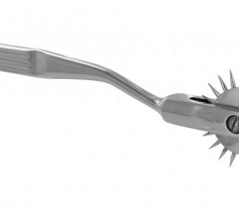 Wartenburg Wheel With Sheath