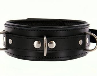 Strict Leather Premium Locking Collar