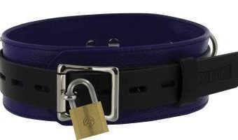 Strict Leather Deluxe Locking Collar - Blue And Black