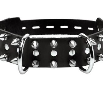 Strict Leather Spiked Dog Collar