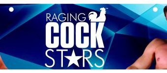 Raging Cockstars Display Sign