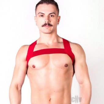 Prowler Red Sports Harness Red L/xl