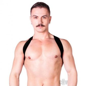 Prowler Red Sports Harness Lite Blk L/xl