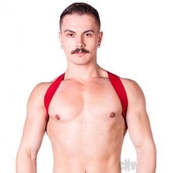 Prowler Red Sports Harness Lite Red L/xl