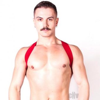 Prowler Red Sports Harness Lite Red S/m