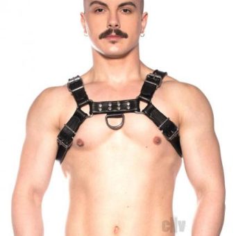 Prowler Red Bull Harness Black Lg