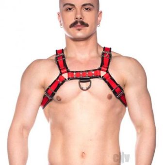 Prowler Red Bull Harness Red Md