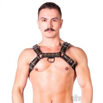 Prowler Red Bull Harness Blk/grn Sm