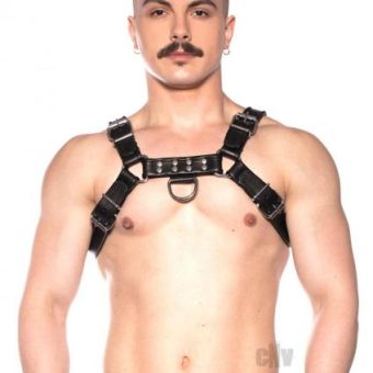 Prowler Red Bull Harness Black Xlarge