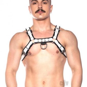 Prowler Red Bull Harness Blk/wht Xl