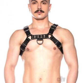 Prowler Red Bull Harness Blk Xxlg
