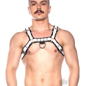 Prowler Red Bull Harness Blk/wht Xxlg