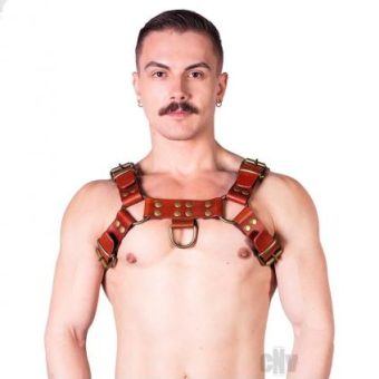 Prowler Red Butch Harness Brn/brs Xl