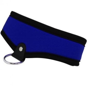 Whip Smart Collar Passion Blue