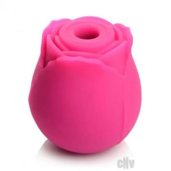 Gossip Rose Crush Pink