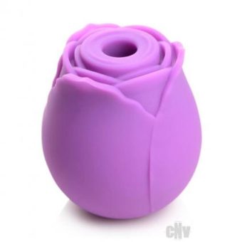 Gossip Rose Flirt Purple