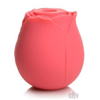 Gossip Rose Crave Pink