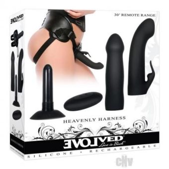 Heavenly Harness Kit Black