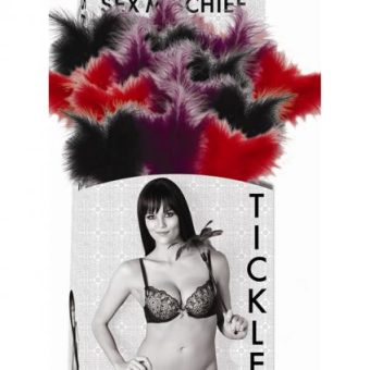 Sex And Mischief Feather Tickler 18 Piece Display
