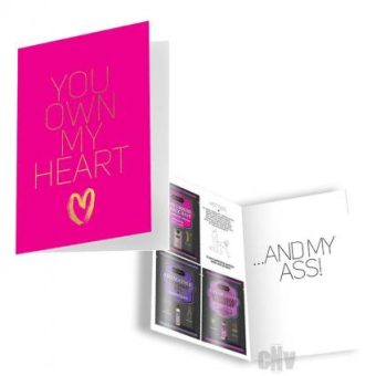 Naughty Notes Greeting Card You Own My