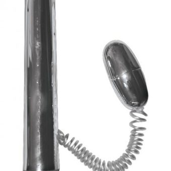 Passion Double Play Vibe And Bullet Waterproof Silver