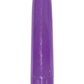 Iridescent Vibe Massager 10 Functions Waterproof Purple