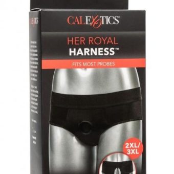 Her Royal Harness Backless Brief 2xl/3xl