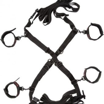 Scandal Over The Bed Cross Restraints