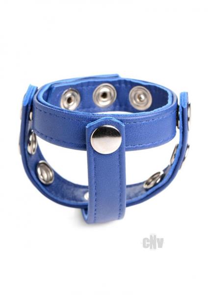 Cg Leather Snap-on Harness Blue