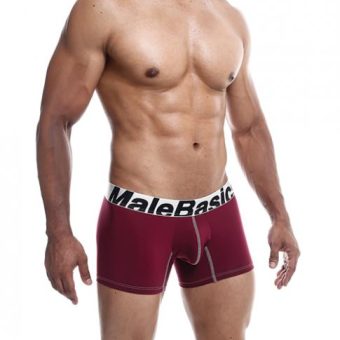 Male Basics Performance Boxer Burgundy Xl