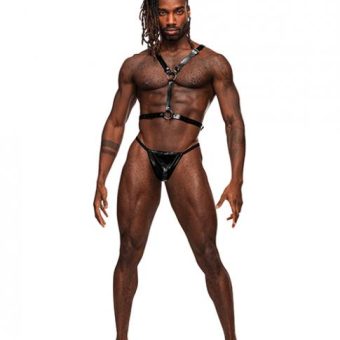 Sagittarius Pu Leather Chest & Winged Back Harness Black O/s