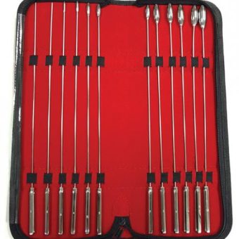 Rouge Stainless Steel Rosebud Dilator Set Of 12