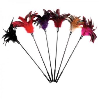 Starburst Feather Tickler 6 Pieces Assorted Display