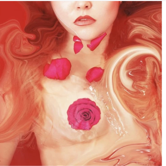 Neva Nude Pasties Enchanted Red Rose Glitter Velvet
