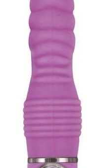 Always Ready Ecstasy 10 function Silicone Vibe - Purple