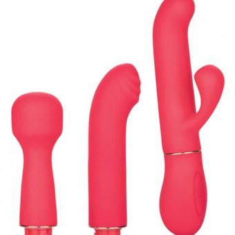 In Touch Passion Trio Pink Vibrator Kit